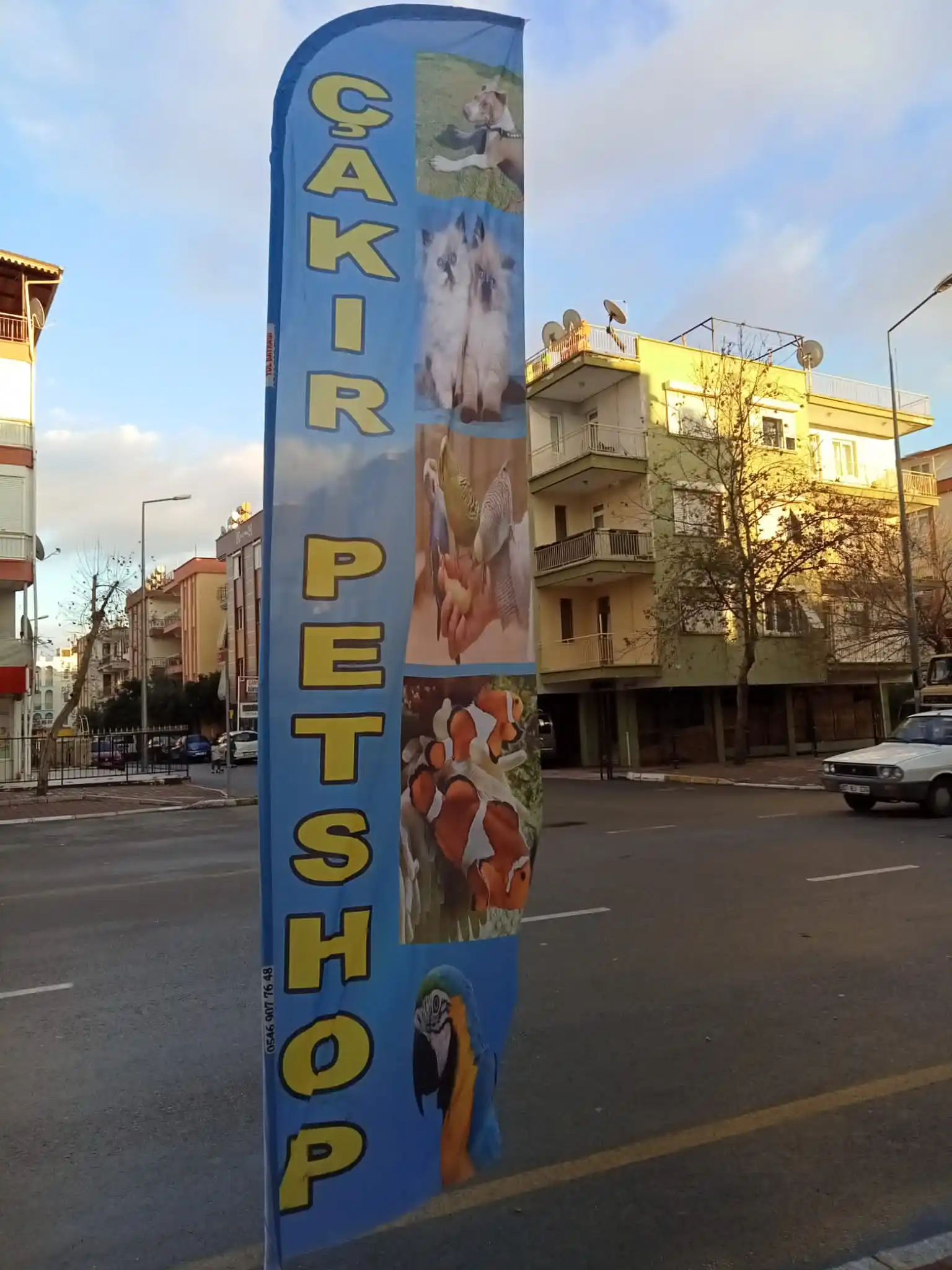 petshop-yelken-bayragi-28