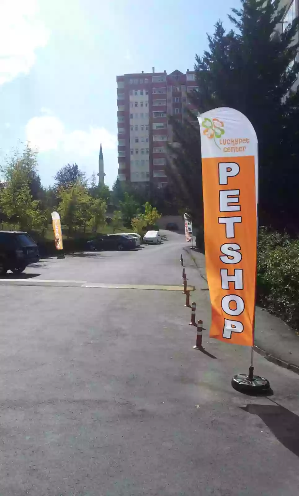 petshop-yelken-bayragi-3